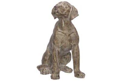 Hond Brush Bruin&nbsp;<br />46 x 24 x 48 cm · resin
